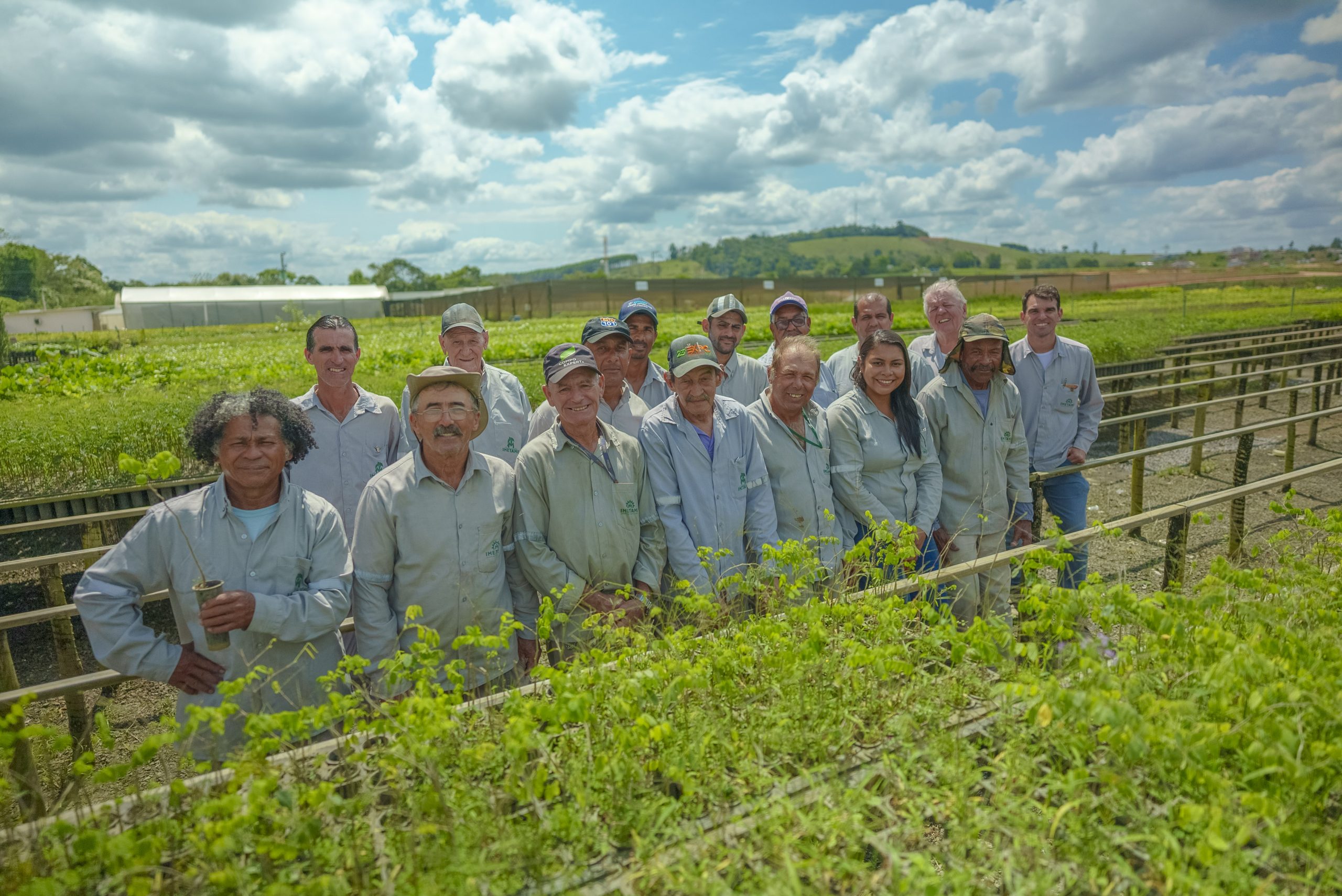 Alcançamos a marca de 1 milhão de árvores plantadas!