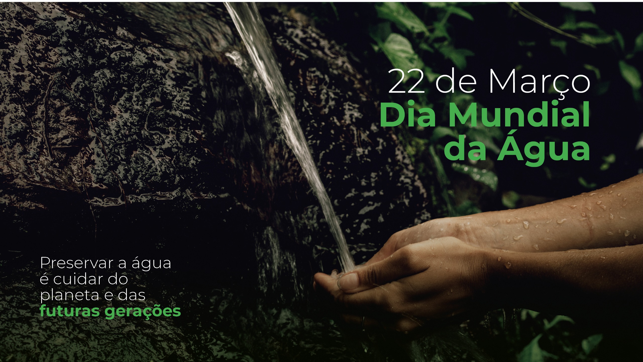 Dia Mundial da Água: concientização e preservação.