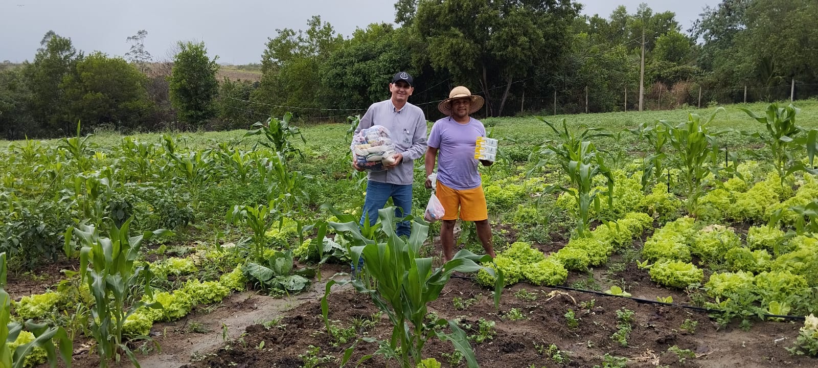 Despertando a consciência através do cultivo de hortas